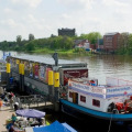 Image 15