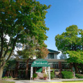 Image 22