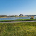 Image 22