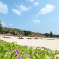 White Sand Resort
