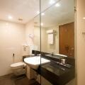 Renuka City Hotel