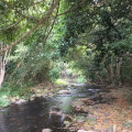 Image 36