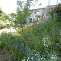 Image 14