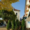 Image 16