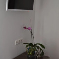 Image 14