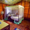 Little Pumpkin Cabanas