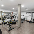 Image 21