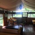 Elephant Lake Yala