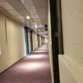 Image 14