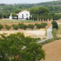 Image 16