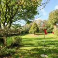 Image 13