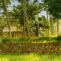 Ivory House