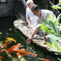 Image 32