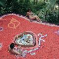 The Sankara Resort
