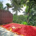 Bucu View Resort