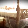 Nooit Gedacht Holiday Resort