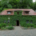 Image 16
