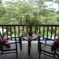 Niyagama House