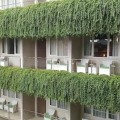 Ohana Hotel Kuta