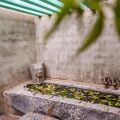 Jetwing Ayurveda Pavilions