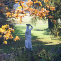 Image 33
