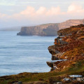 Image 17