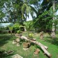 Coconut Island