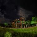 Camellia Resort And Spa