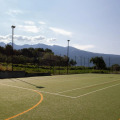 Image 22
