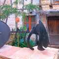 Image 12