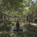 The Frangipani Tree By Edwards Collection