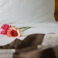 Libra Hotel Nha Trang