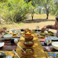 Mahoora Tented Safari Camp - Wilpattu
