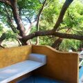 Raintree
