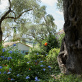 Image 23