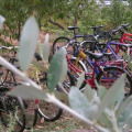 Image 13