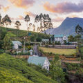 Langdale By Amaya Boutique Resort