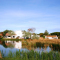 Image 18