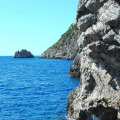 Image 31