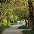 Jumeirah Bali Indonesia