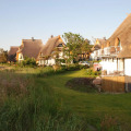 Image 16