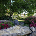 Image 19