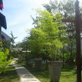 Villa Molek