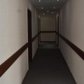 Image 13