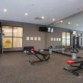 Image 21