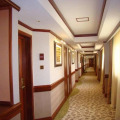 Image 13