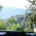 Villa Shenandoah