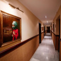 Image 15
