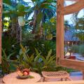 Sailing Club Resort Mui Ne