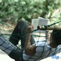 Mahoora Tented Safari Camp - Wilpattu